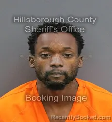 Mugshot of MICHAEL D LOWE booked in Hillsborough County, Florida on June 10, 2026