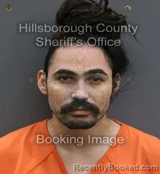 Mugshot of ANTHONY LUKE GONZALEZ booked in Hillsborough County, Florida on June 10, 2026