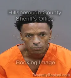 Mugshot of DYLAN ROBERT ALLEN booked in Hillsborough County, Florida on June 10, 2026