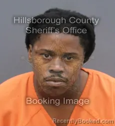 Mugshot of CALVIN DENNIS JR DAVIS booked in Hillsborough County, Florida on June 10, 2026