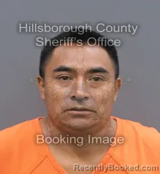 Mugshot of PEDRO ITZEP E ITZEP booked in Hillsborough County, Florida on June 10, 2026