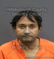 Mugshot of SHRENIK MODI booked in Hillsborough County, Florida on June 10, 2026