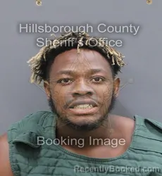 Mugshot of CARL MYRTHO FELIX booked in Hillsborough County, Florida on June 10, 2026