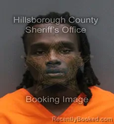 Mugshot of JAQUEZ DATRON GREEN booked in Hillsborough County, Florida on June 10, 2026
