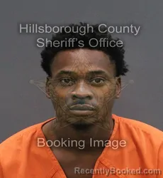 Mugshot of KEWON ANTONIO SR LEONARD booked in Hillsborough County, Florida on June 10, 2026