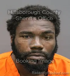 Mugshot of RAYBURN E WEBB