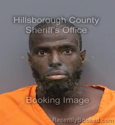 Mugshot of PETERSON RAMEAU booked in Hillsborough County, Florida on June 10, 2026