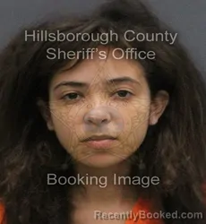 Mugshot of MYKAYLA RENEE HERBE HARDY booked in Hillsborough County, Florida on June 10, 2026