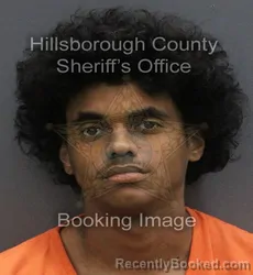 Mugshot of JAXXON DRAKE ABBOTT NEWBURY booked in Hillsborough County, Florida on June 10, 2026