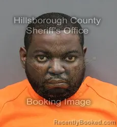 Mugshot of DUANE ANDERSON