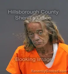 Mugshot of TERYN ASHLEY BOSTIC booked in Hillsborough County, Florida on June 11, 2026