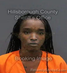 Mugshot of ASHANTI AREION SMITH booked in Hillsborough County, Florida on June 11, 2026