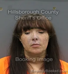 Mugshot of LINDSAY ELISE JOHNSON