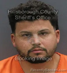 Mugshot of JORDAN DYLAN SANTOS booked in Hillsborough County, Florida on June 11, 2026