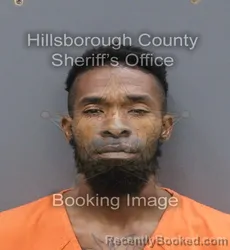 Mugshot of BAZEL LOUIS booked in Hillsborough County, Florida on June 11, 2026