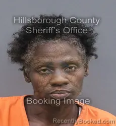Mugshot of LAKESHA SHANAE TURNER booked in Hillsborough County, Florida on June 11, 2026