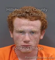 Mugshot of MICHAEL ANDREW GREEN booked in Hillsborough County, Florida on June 11, 2026