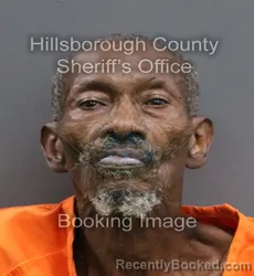 Mugshot of JOHN HENRY JR WILLIAMS booked in Hillsborough County, Florida on June 11, 2026
