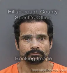 Mugshot of ALEXANDRO AGOSTO RAMOS booked in Hillsborough County, Florida on June 11, 2026