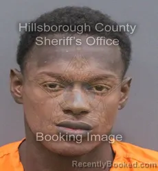 Mugshot of STEPHEN LENARD JR CARTER booked in Hillsborough County, Florida on June 11, 2026