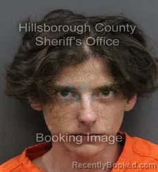 Mugshot of TIMOTHY CHANDLER JACKSON booked in Hillsborough County, Florida on June 11, 2026