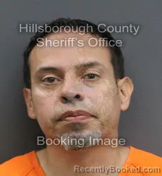Mugshot of DANIEL TORO booked in Hillsborough County, Florida on June 11, 2026