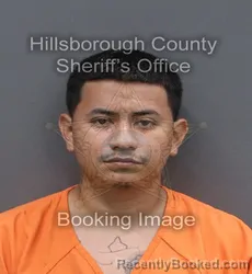 Mugshot of ANDERSON SAUL CALLES MELGAR booked in Hillsborough County, Florida on June 11, 2026