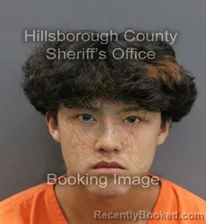 Mugshot of ALEX QUOC DANG booked in Hillsborough County, Florida on June 11, 2026