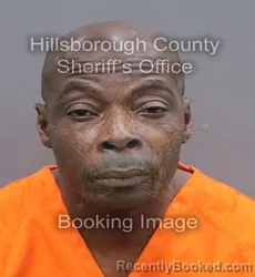 Mugshot of SEANDAR TAHA booked in Hillsborough County, Florida on June 11, 2026