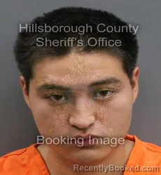 Mugshot of JORDY GARCIA ESCANDON booked in Hillsborough County, Florida on June 11, 2026