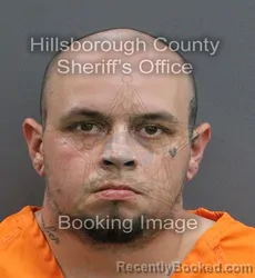 Mugshot of DAMON ROBERT BRYAN booked in Hillsborough County, Florida on June 11, 2026