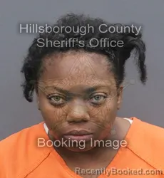 Mugshot of INDIA LAMILLAN JEAN booked in Hillsborough County, Florida on June 11, 2026