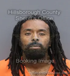 Mugshot of TYLER DEON JACKSON booked in Hillsborough County, Florida on June 11, 2026
