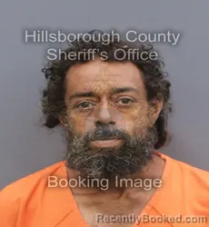Mugshot of JON PIERRE ARIAS booked in Hillsborough County, Florida on June 11, 2026