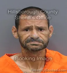 Mugshot of JOSUE PEREZ booked in Hillsborough County, Florida on June 11, 2026