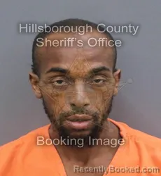 Mugshot of WILLIAM HENRY MERRELL booked in Hillsborough County, Florida on June 11, 2026