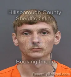 Mugshot of DAVID NATHAN SEXTON booked in Hillsborough County, Florida on June 11, 2026