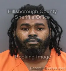 Mugshot of JEFFREY JR TYSON booked in Hillsborough County, Florida on June 11, 2026