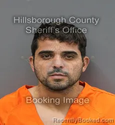 Mugshot of LINDBERGH JUNIOR DIAS FERNANDES