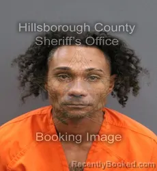 Mugshot of DROSANLY CHAPMAN-RAMOS booked in Hillsborough County, Florida on June 11, 2026