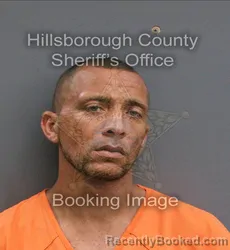 Mugshot of ANGEL GUZMAN booked in Hillsborough County, Florida on June 11, 2026