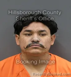 Mugshot of MONTIEL ALONSO WILLIAMS