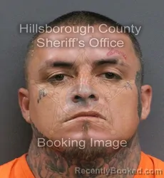 Mugshot of ERIC GRIMALDO booked in Hillsborough County, Florida on June 12, 2026