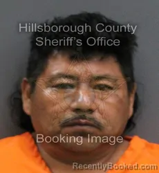 Mugshot of PEDRO HERNANDEZ PAVON booked in Hillsborough County, Florida on June 12, 2026