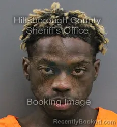 Mugshot of ANDREA LAMAR LEWIS booked in Hillsborough County, Florida on June 12, 2026