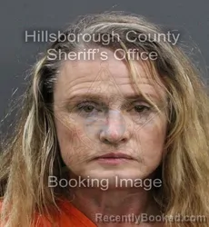 Mugshot of AIMEE JANEL NUNEZ booked in Hillsborough County, Florida on June 12, 2026