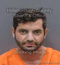 Mugshot of ANDREW MAVROS booked in Hillsborough County, Florida on June 12, 2026