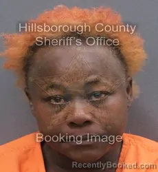 Mugshot of MICHELLE MOORE booked in Hillsborough County, Florida on June 12, 2026