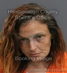 Mugshot of JULIANA ELIZABETH SHEETS booked in Hillsborough County, Florida on June 12, 2026