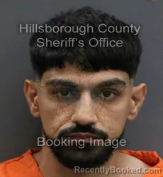 Mugshot of MAHMOUD NIDAL FARHOUD booked in Hillsborough County, Florida on June 12, 2026